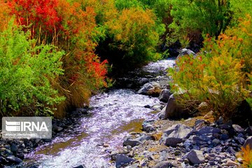 Spring nature of Iran’s Vameqabad