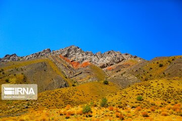 Spring nature of Iran’s Vameqabad