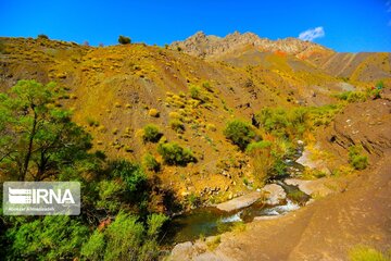 Spring nature of Iran’s Vameqabad