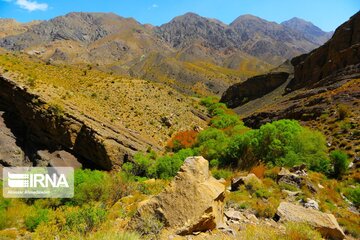 Spring nature of Iran’s Vameqabad