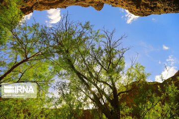 Spring nature of Iran’s Vameqabad