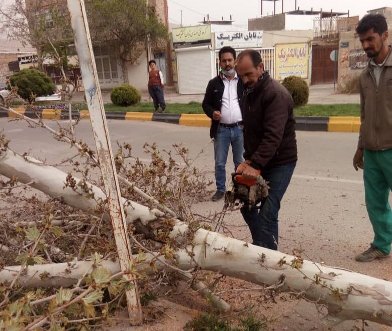 تندباد سبب سقوط چهار درخت و خسارت به ۲ دستگاه خودرو  در کرج شد