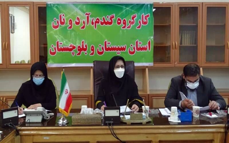 برخورد با خاطیان توزیع آرد در سیستان و بلوچستان تشدید شد