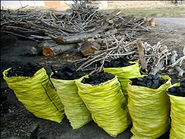 قاچاقچی زغال چوب در کهگیلویه و بویراحمد سه میلیارد ریال جریمه شد 