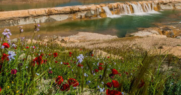 La cascade de Keyvan à l’ouest de l’Iran