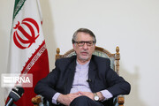 Iran observed int'l obligations after Ukraine Flight 752 disaster: Baharvand