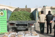 پلیس کرمانشاه ۳۶ کیلوگرم تریاک را در بار خیار کشف کرد