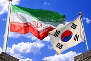 مسئولان ایران باید با مقام‌های کره‌ای برخورد قاطع داشته باشند