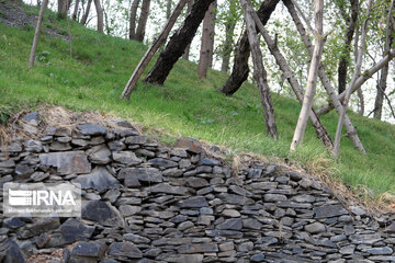 Spring  time in rural areas of Mashad; Northeastern Iran