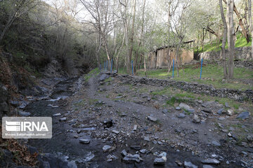 Spring  time in rural areas of Mashad; Northeastern Iran