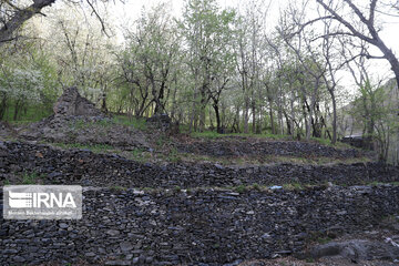 Spring  time in rural areas of Mashad; Northeastern Iran