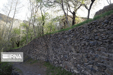 Spring  time in rural areas of Mashad; Northeastern Iran