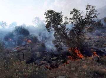 آتش‌سوزی ارتفاعات منطقه رزک جهرم مهار شد