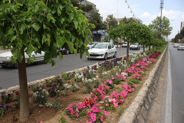 بلوار 17 شهریور سمنان