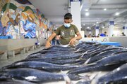 Рыбная промышленность Ирана способна увеличить производство аквакультуры во много раз