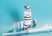 Iran, second country to produce recombinant flu vaccine