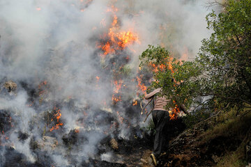 دود غلیظ مانع خاموش‌کردن آتش پارک ملی‌گلستان است