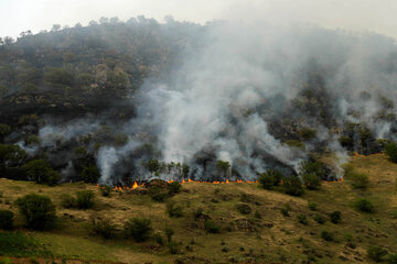 ۱۲.۵ هکتار از جنگل‌های سردشت در آتش سوخت