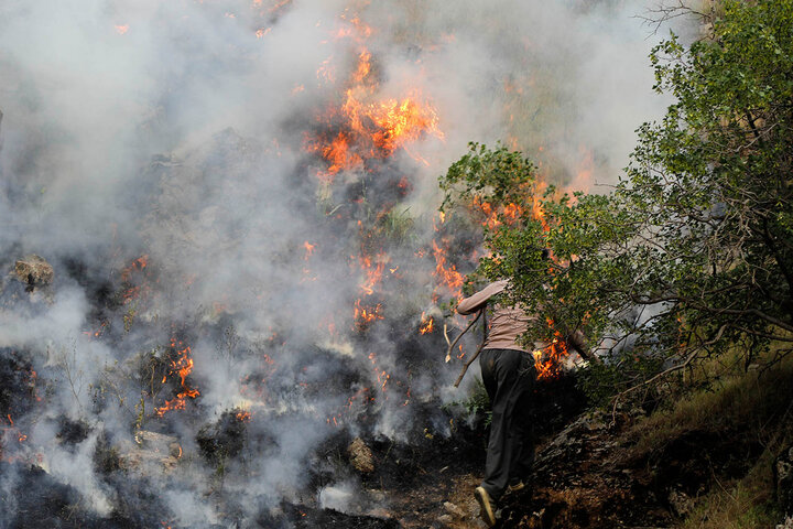 دود غلیظ مانع خاموش‌کردن آتش پارک ملی‌گلستان است