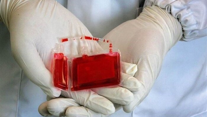 ۹۶۰ نمونه بندناف در بانک خون اردبیل ذخیره‌سازی شد