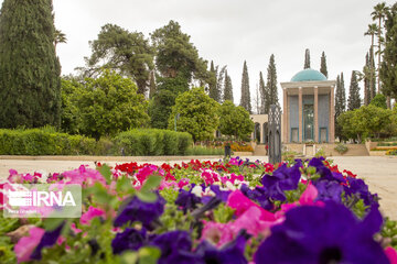 Día Nacional de Saadi