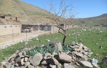 آرامستان تاریخی روستایی "خرخره" بوکان  چشم انتظار ثبت ملی