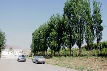 Goldasht Valley; Tourist resort in Iran's Borujerd