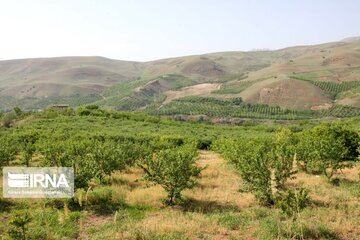 Goldasht Valley; Tourist resort in Iran's Borujerd