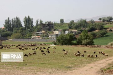 Goldasht Valley; Tourist resort in Iran's Borujerd