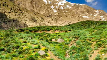 Le lac Kouh Gol dans la province de Kohguiluyeh et BoyerAhmad