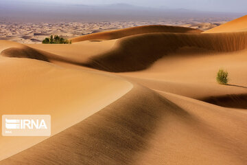 El desierto de Rig-e Yalan
