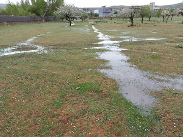 باران امسال ۶۶ درصد در فارس کمتر بارید