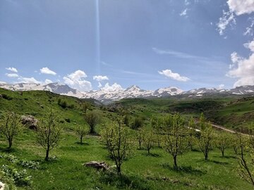 Iran : le mariage de l’hiver et du printemps dans les contreforts des montagnes « Margavar » à Urmia au nord-ouest