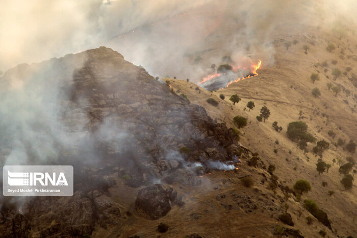 قرقاول‌ها؛ آواز رنگ‌ها در نوار مرزی اردبیل