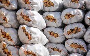 ۱۰۰ تن سیب زمینی احتکاری در کرمانشاه کشف شد