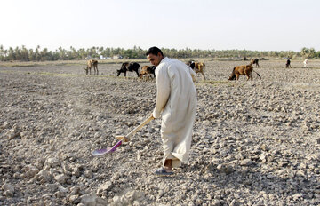 بازگشت خشکسالی به عراق 