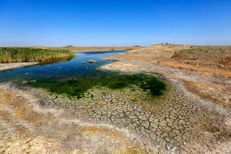 کاهش ۱۹ درصدی بارندگی در خراسان جنوبی