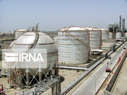 Iran’s petrochemical export up by 13%