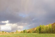 Spring beauties in western Iran; Bijar