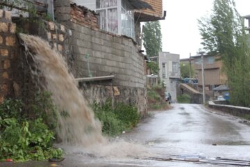 باران و مزارع