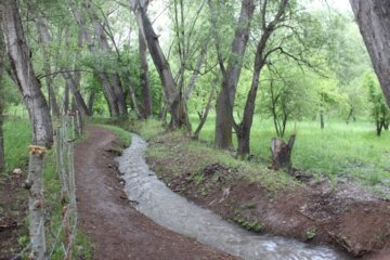 باران و مزارع