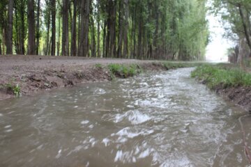 بیشترین میزان بارندگی استان زنجان در مرکز شهرستان طارم اتفاق افتاد