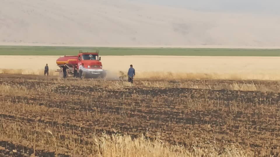 چهار هکتار از مزارع ایذه در آتش سوخت