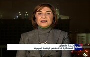 مشاور بشار اسد: نهادهای اطلاعاتی غربی عامل همه مشکلات سوری‌ها هستند  