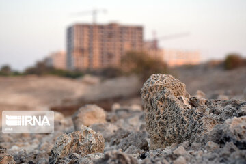 L’Île de Kish, la terre des récifs coralliens