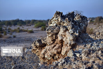 L’Île de Kish, la terre des récifs coralliens