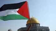 Unity among regional, Islamic states will help Palestine