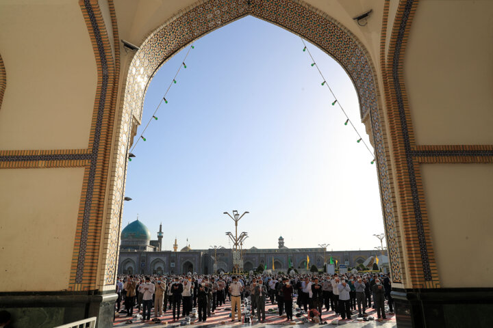 تب و تاب سرزمین خورشید برای جشن دلدادگی