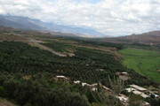 یک‌هزارو ۸۲۲ طرح سرمایه‌گذاری در روستاهای زنجان اجرا می‌شود