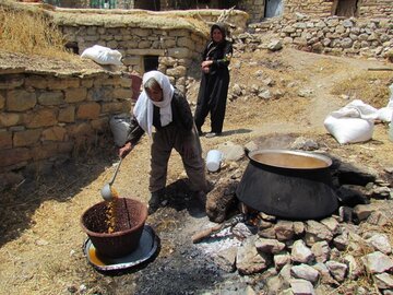 مراتب ثبت ملی هشت اثر میراث فرهنگی ناملموس کردستان ابلاغ شد